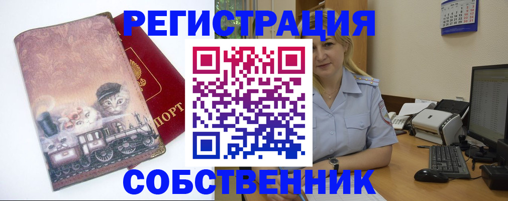 временная регистрация в Мытищах